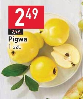 Stokrotka Pigwa 1 szt. oferta