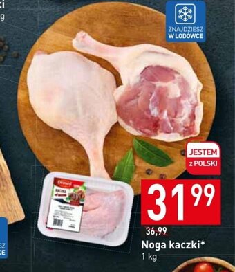 Stokrotka Noga kaczki 1 kg oferta