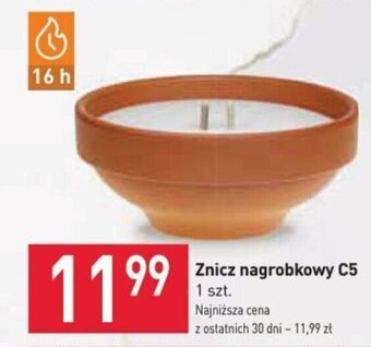 Stokrotka Znicz nagrobkowy C5 oferta