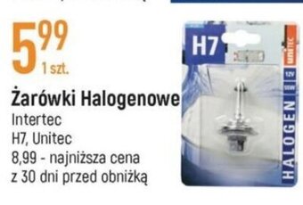 E.Leclerc Żarówki Halogenowe Intertec oferta