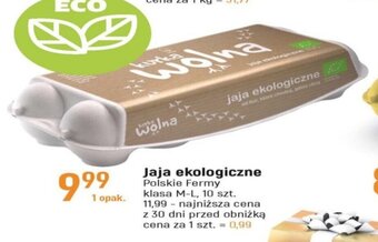 E.Leclerc Jaja ekologiczne Polskie Fermy 10szt. oferta