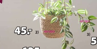 JYSK DONICZKA NA ROŚLINY STEFAN Ś18 x W47 cm oferta