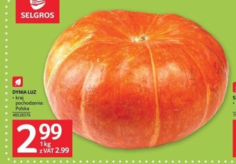 Selgros DYNIA LUZ 1 kg oferta