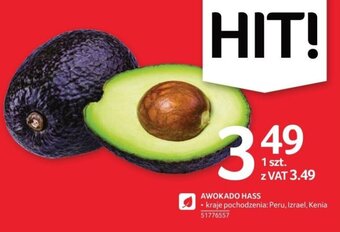 Selgros AWOKADO HASS 1 szt. oferta