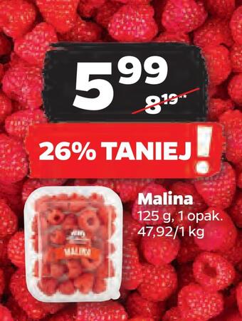 Netto Malina oferta