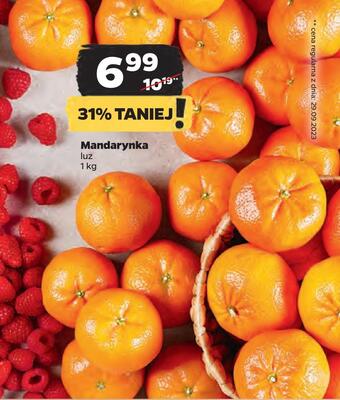 Netto Mandarynka oferta