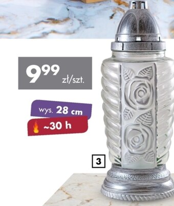 Mrówka Znicz oferta