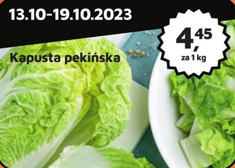 Kapusta pekińska