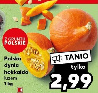 Kaufland Polska dynia hokkaido 1 kg oferta