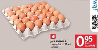 Selgros JAJA ROZMIAR L sprzedaż oferta