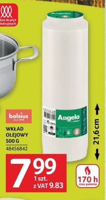 Selgros WKŁAD OLEJOWY 500 G oferta