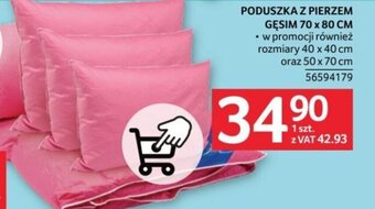 Selgros PODUSZKA Z PIERZEM GĘSIM 70 x 80 CM oferta