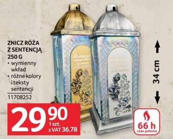 Selgros ZNICZ RÓŻA Z SENTENCJĄ 250 G oferta