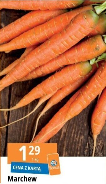 E.Leclerc Marchew 1 kg oferta