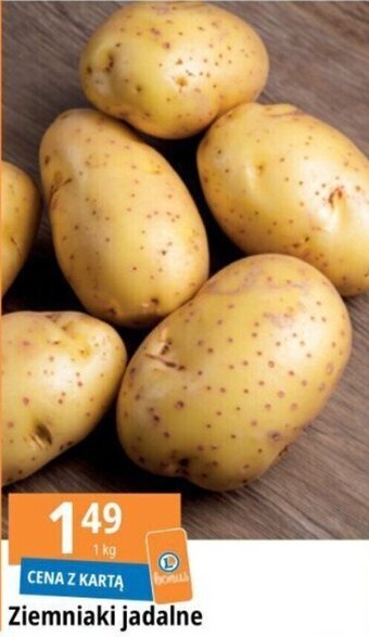 E.Leclerc Ziemniaki jadalne 1 kg oferta
