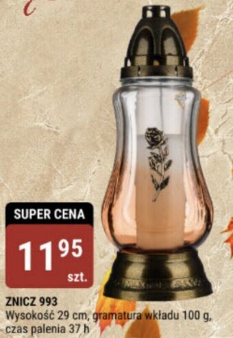 bi1 ZNICZ 993 oferta