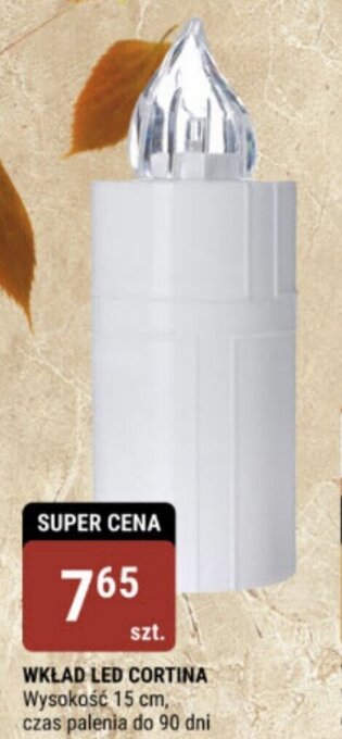 bi1 WKŁAD LED CORTINA oferta