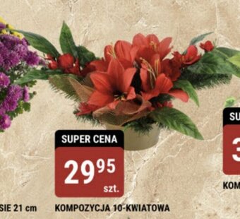 bi1 KOMPOZYCJA 10-KWIATOWA oferta