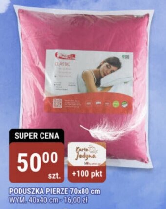 bi1 PODUSZKA PIERZE 70x80 cm oferta