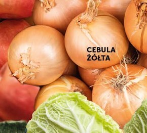 Euro Sklep Cebula oferta
