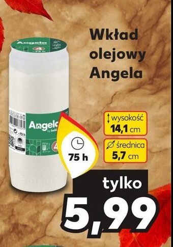 Kaufland Wkład olejowy angela 4 dni oferta