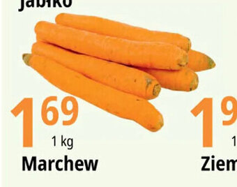 E.Leclerc Marchew 1 kg oferta
