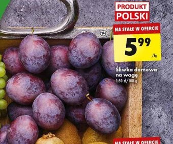 Biedronka Śliwka domowa 1 kg oferta
