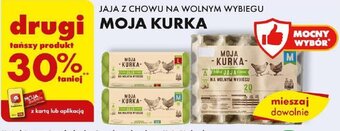 Biedronka JAJA Z CHOWU NA WOLNYM WYBIEGU MOJA KURKA oferta