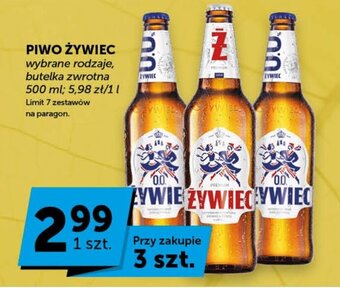 Groszek PIWO ŻYWIEC 500ml oferta