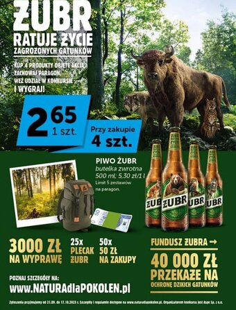 Groszek PIWO ŻUBR 500ml oferta