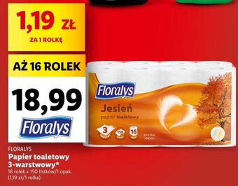 Lidl FLORALYS Papier toaletowy 3-warstwowy 16 rolek oferta