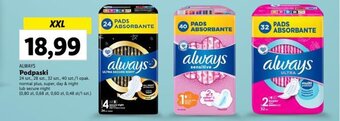 Lidl ALWAYS Podpaski 24 szt. 28 szt., 32 szt., 40 szt. oferta