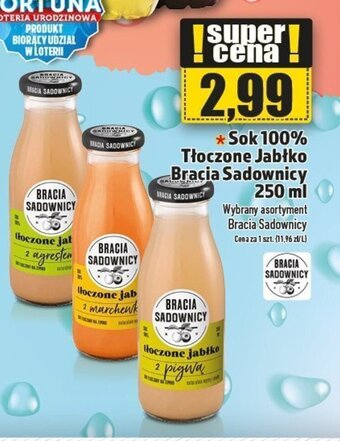 Sok 100% Tłoczone Jabłko Bracia Sadownicy 250 ml
