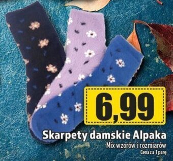 Skarpety damskie Alpaka