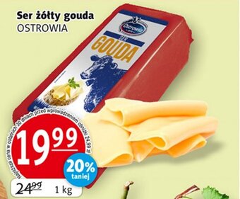 Prim Market Ser żółty gouda 1 kg oferta