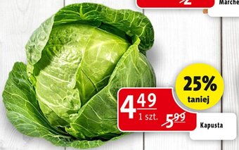 Prim Market Kapusta oferta