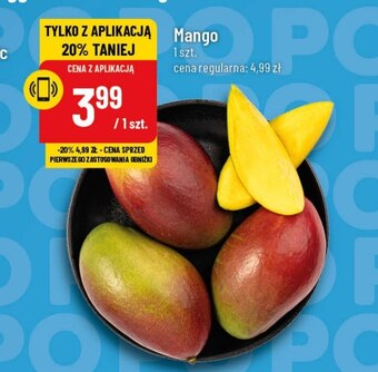Polomarket Mango oferta