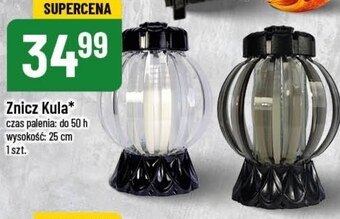 Polomarket Znicz oferta