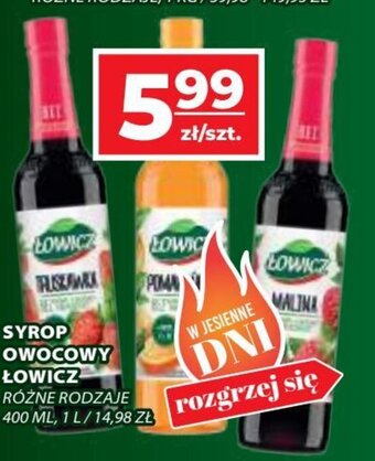 Top Market SYROP OWOCOWY ŁOWICZ 400ml oferta