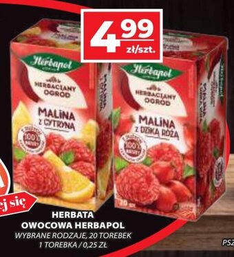 Top Market HERBATA OWOCOWA HERBAPOL 20 torebek oferta