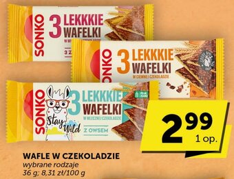 Groszek WAFLE W CZEKOLADZIE SONKO 36 g oferta