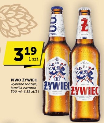 Groszek PIWO ŻYWIEC 500 ml oferta