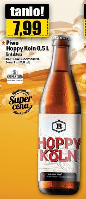 Topaz Piwo Nano IPA 0,5 L oferta