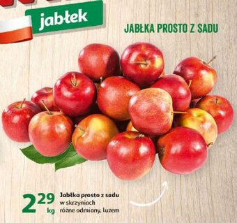 Auchan Jabłka prosto z sadu 1kg oferta