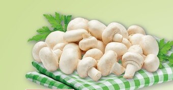 Gram Market Pieczarki oferta