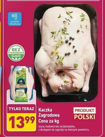 ALDI Kaczka Zagrodowa oferta