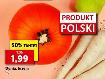 Lidl Dynia, luzem oferta