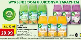 Lidl Wkłady do odświeżacza powietrza oferta