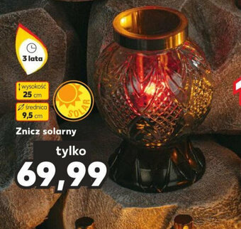 Kaufland Znicz solarny oferta