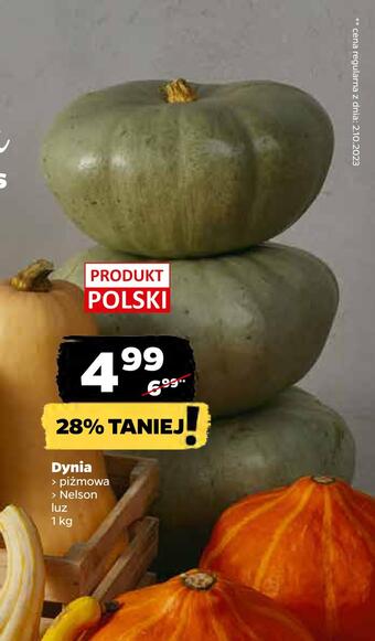 Netto Dynia oferta